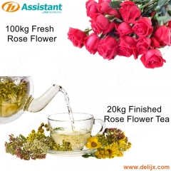 Machine de traitement de séchage de thé de fleur de rose de 20kg finie