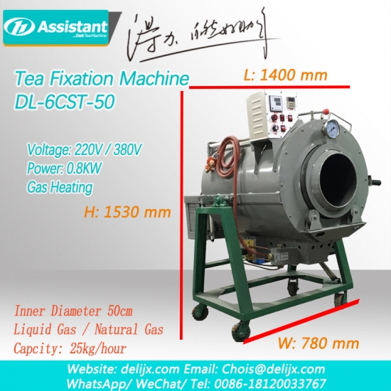 chauffage au gaz vert / oolong thé panner panning machine équipement 6cst-50