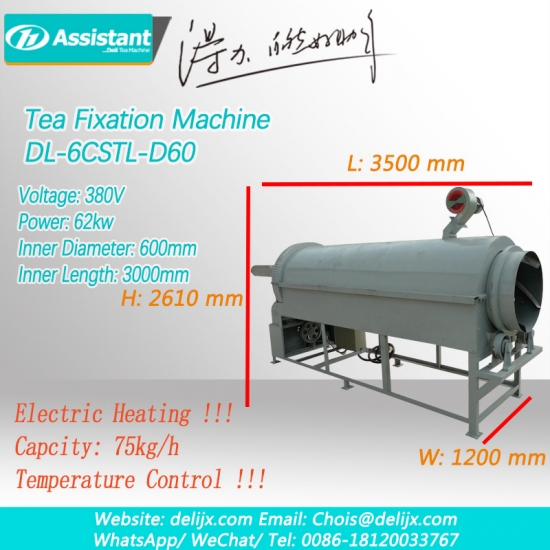 chauffage électrique continu machine à vapeur de thé vert dl-6cstl-d60