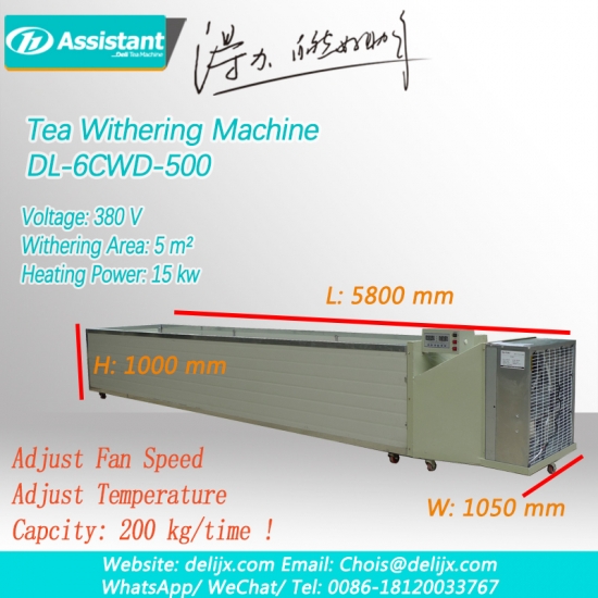 feuilles de thé noires se flétrissant machine 6cwd-500