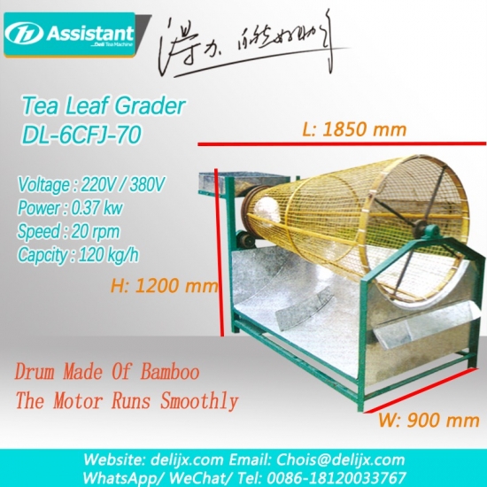 machine de classement des feuilles de thé fraîches dl-6cfj-70