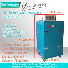 thé noir thé foncé machine de fermentation processus d'oxydation machines dl-6cfj-30