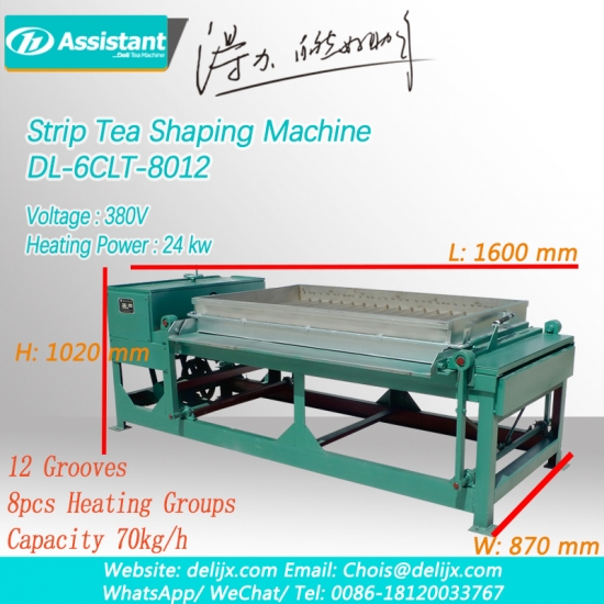 machine à façonner le thé de type niddle, machine à carder le thé de type barre à bande
