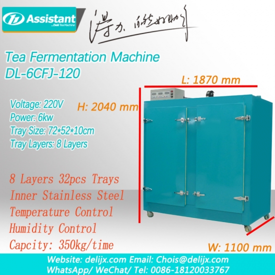 étapes d'oxydation du thé exigences de fermentation du thé noir armoire de fermentation du thé