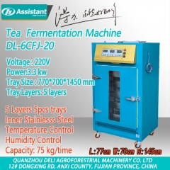 thé noir thé foncé machine de fermentation processus d'oxydation machines dl-6cfj-30